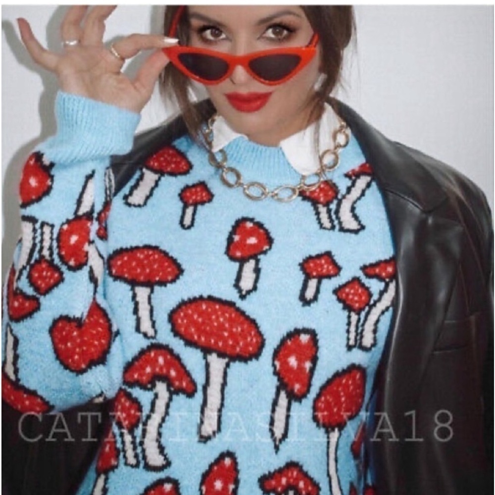 Zara Blogger's Favorite Knit Mushroom Long Sleeve Crew Neck Novelty Sweater - Picture 2 of 16